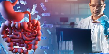 Gut-Brain Connection: How Digestion Impacts Mental Clarity