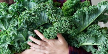 Eating for Energy: Foods That Fuel Your Day