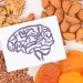 Gut-Brain Connection: How Digestion Impacts Mental Clarity